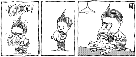 Do you know Lio?