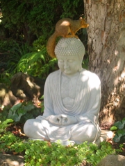 A squirrel on top of my Buddha