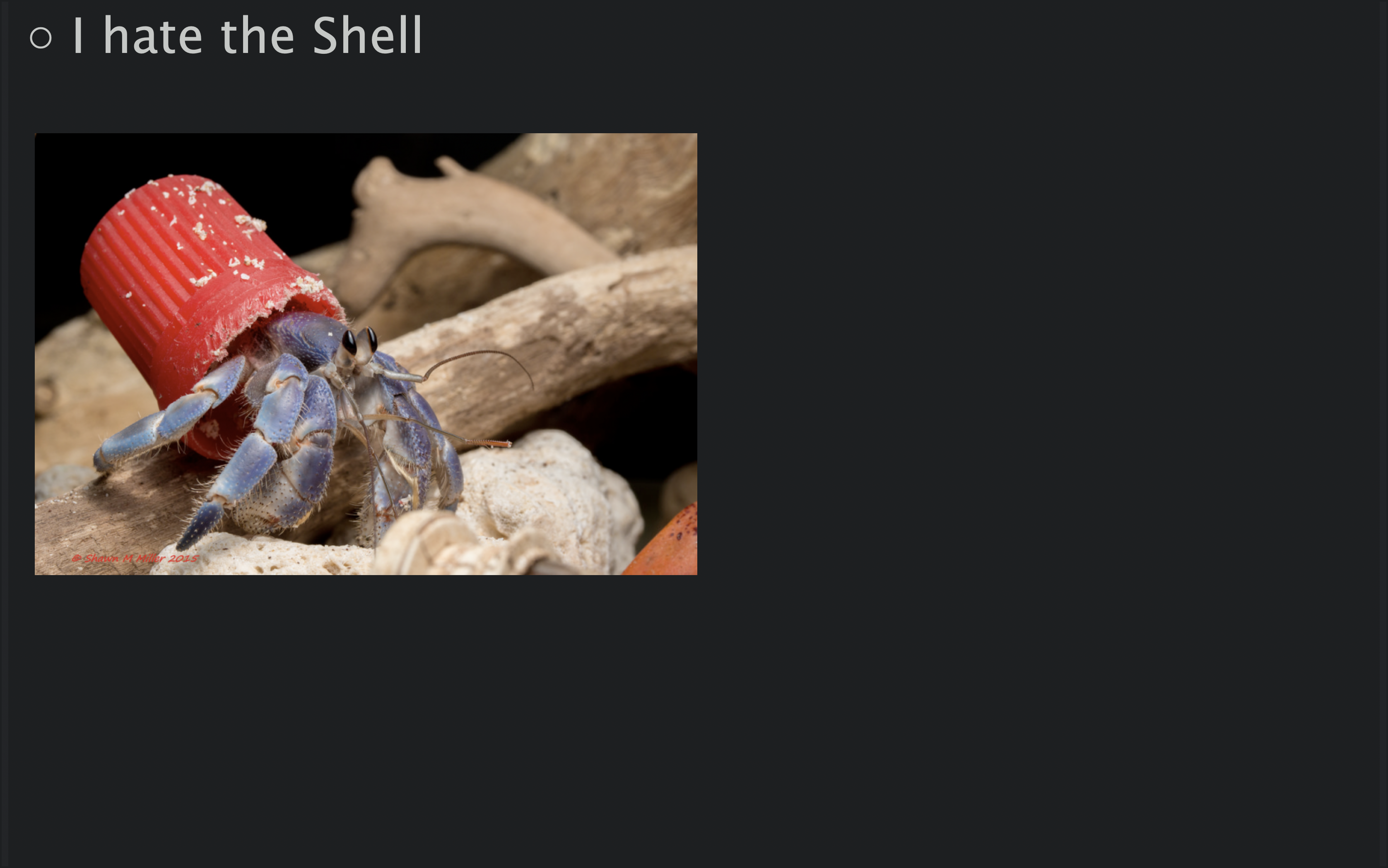 I hate the shell